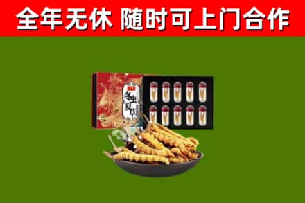 南山区烟酒回收冬虫夏草礼盒.jpg