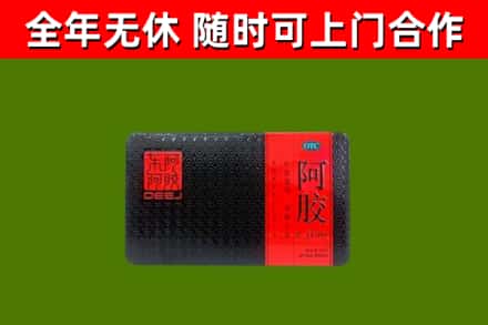 南山区回收阿胶
